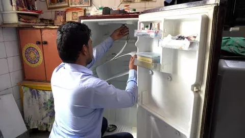 fridge repair mechanic